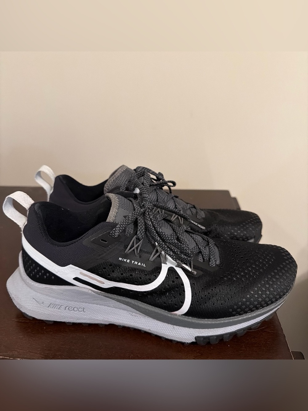 Nike Pegasus Women’s Black and White Trail Running Shoes
